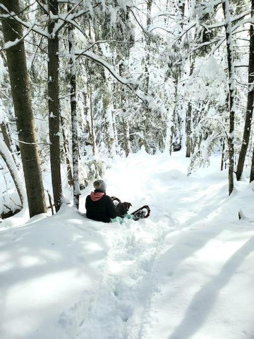Chalets Nabu La Sacacomie - Riviere - Billard サン・タレクシ・デ・モン エクステリア 写真