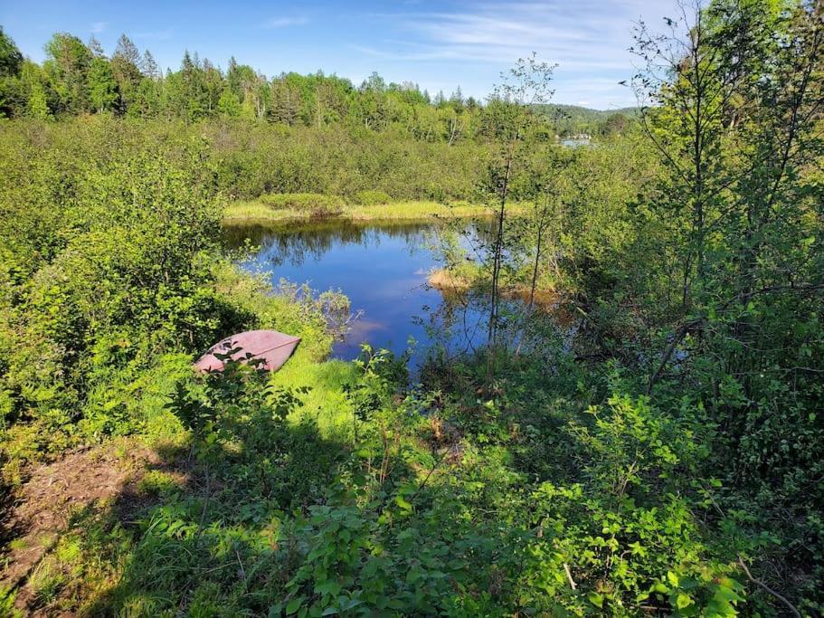Chalets Nabu La Sacacomie - Riviere - Billard サン・タレクシ・デ・モン エクステリア 写真