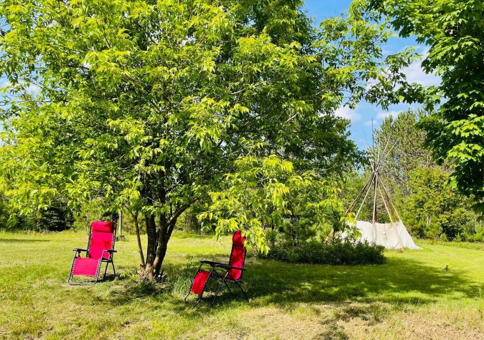 Chalets Nabu La Sacacomie - Riviere - Billard サン・タレクシ・デ・モン エクステリア 写真