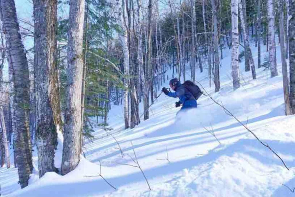 Chalets Nabu La Sacacomie - Riviere - Billard サン・タレクシ・デ・モン エクステリア 写真