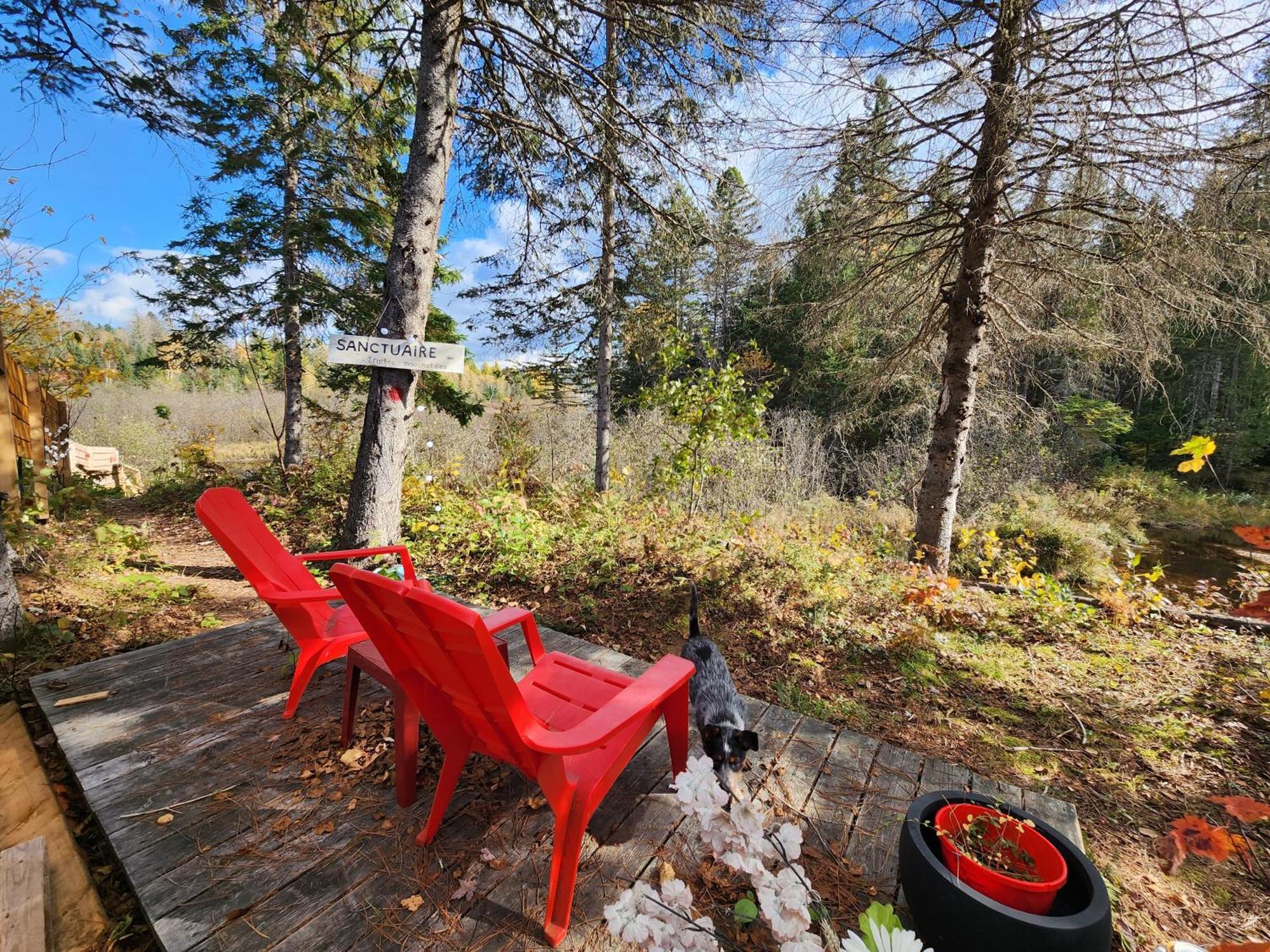 Chalets Nabu La Sacacomie - Riviere - Billard サン・タレクシ・デ・モン エクステリア 写真
